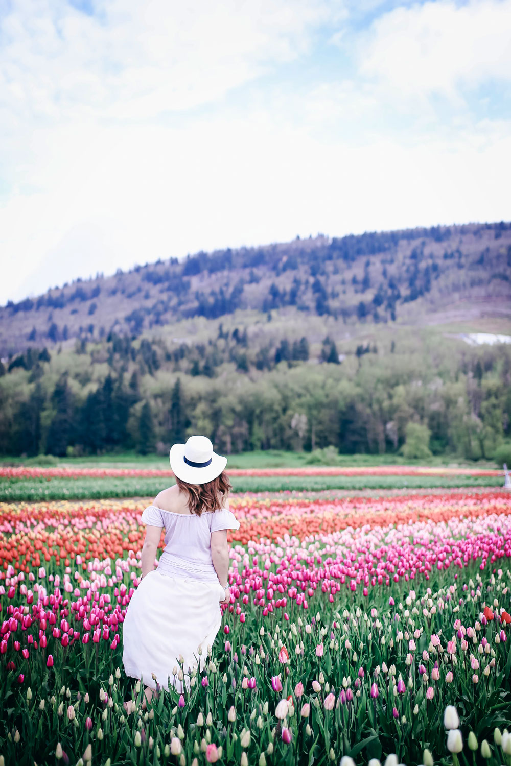 Tulip fields in Vancouver by To Vogue or Bust in an Aritzia silk skirt Aritzia off the shoulder top Joe Fresh panama hat