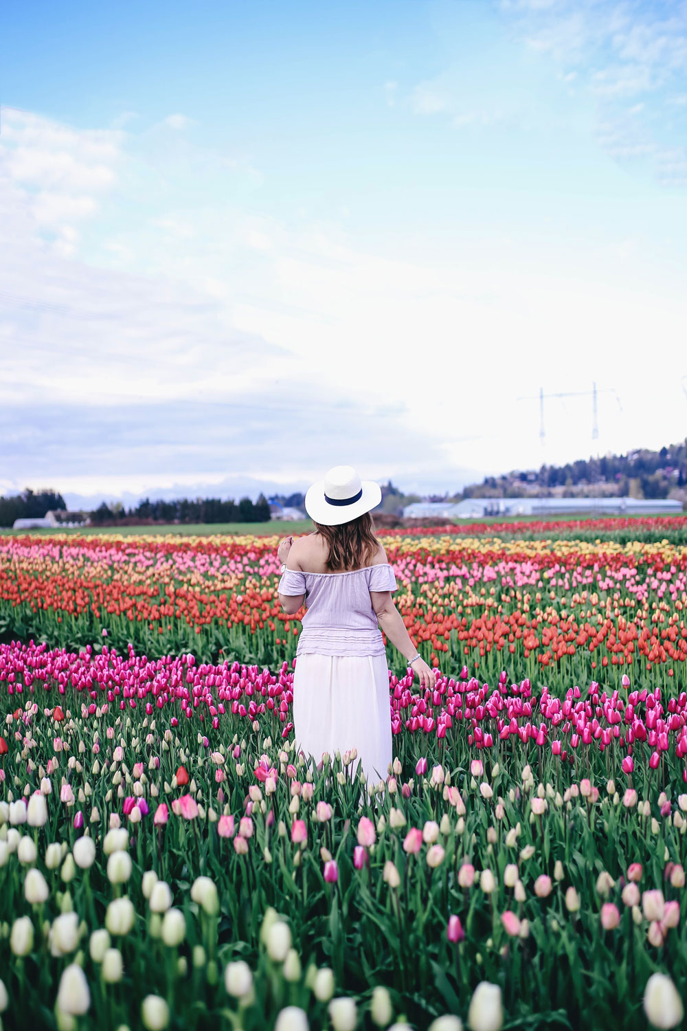 Tulip fields in Vancouver by To Vogue or Bust in an Aritzia silk skirt Aritzia off the shoulder top Joe Fresh panama hat