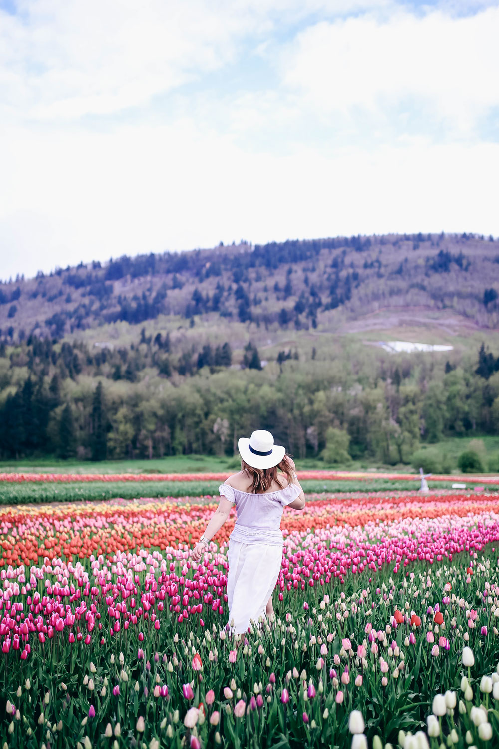 Tulip fields in Vancouver by To Vogue or Bust in an Aritzia silk skirt Aritzia off the shoulder top Joe Fresh panama hat