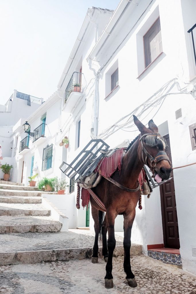 What to see in andalucia spain travel guie by To Vogue or Bust