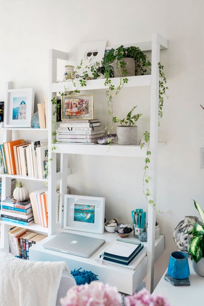 Best plants for office spaces