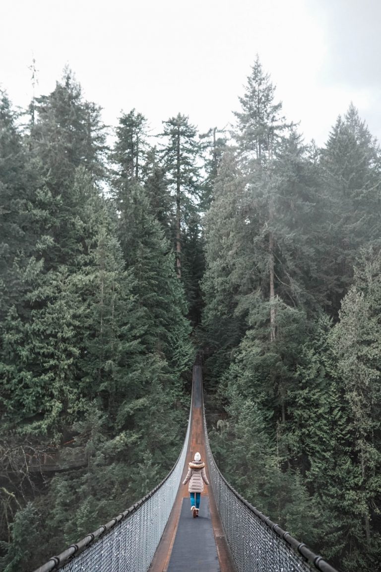 Canyon Lights at Capilano Suspension Bridge, Canada - To Vogue or Bust