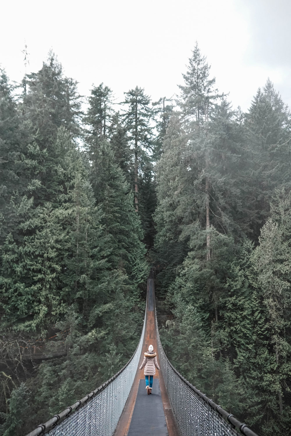 Canyon Lights at Capilano Suspension Bridge, Canada - To Vogue or Bust