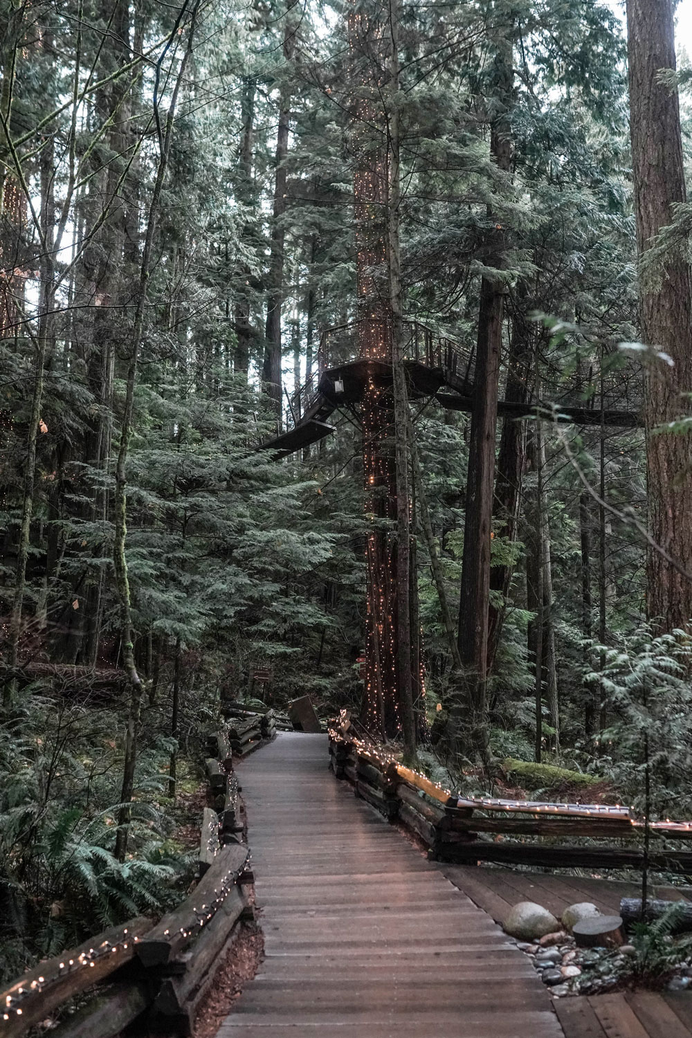 Canyon Lights at Capilano Suspension Bridge, Canada - To Vogue or Bust