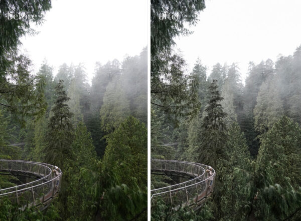 Capilano Suspension Park